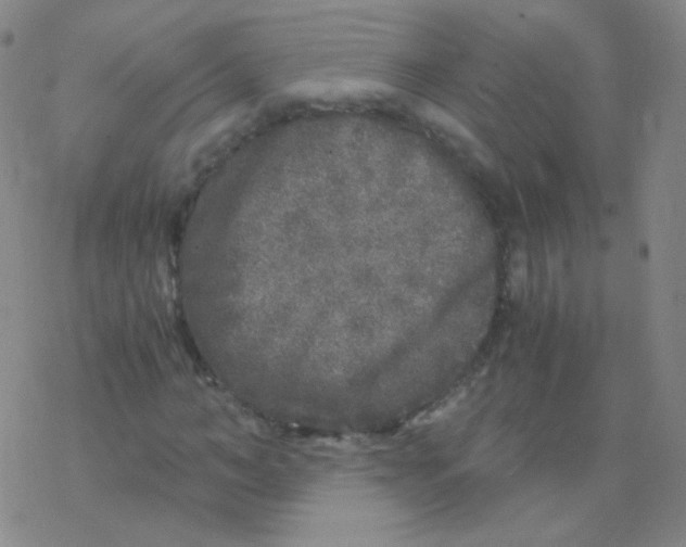 X0000076270966200610262026