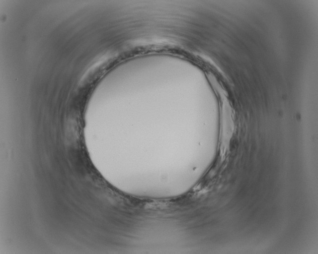 X0000076270967200610262026