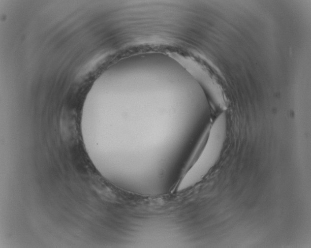 X0000076270968200610262026