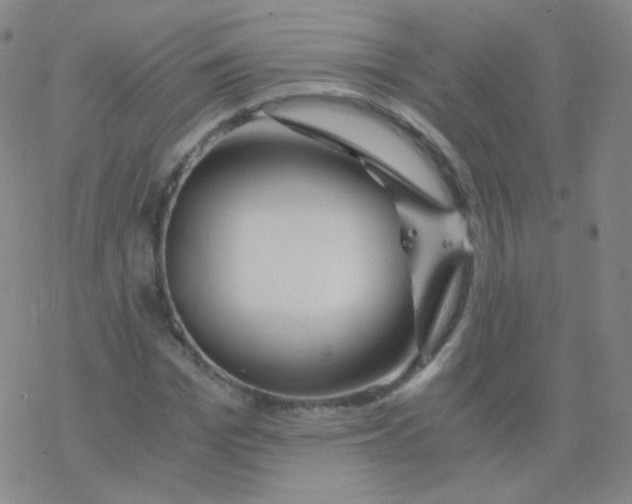 X0000076270969200610262026