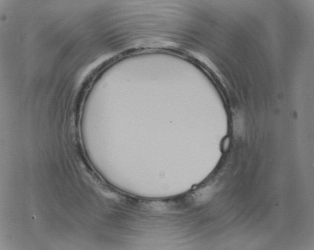 X0000076270971200610262026