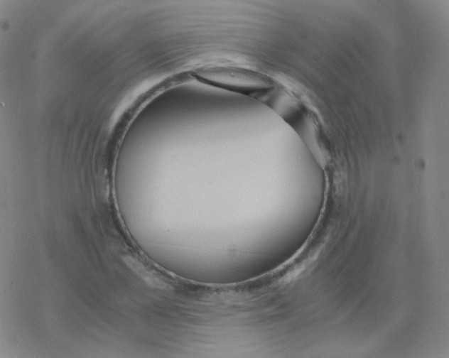 X0000076270973200610262026