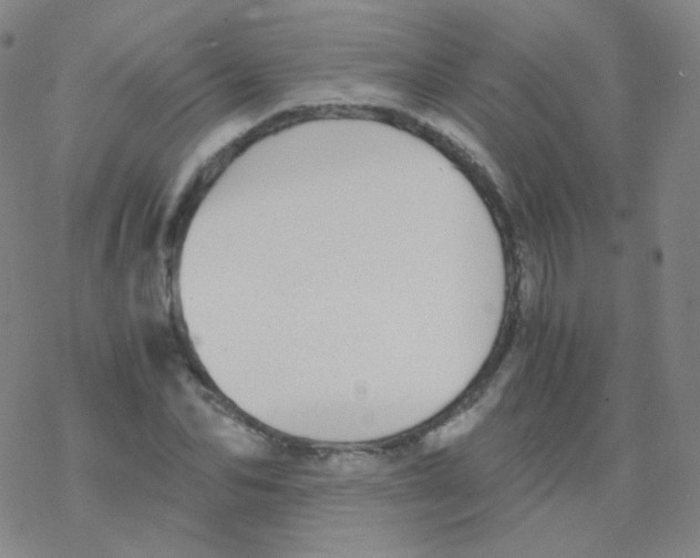 X0000076270974200610262026