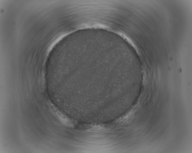 X0000076270975200610262026