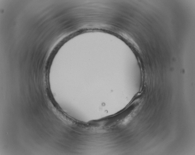 X0000076270976200610262026