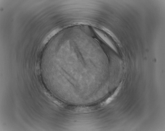 X0000076270977200610262026