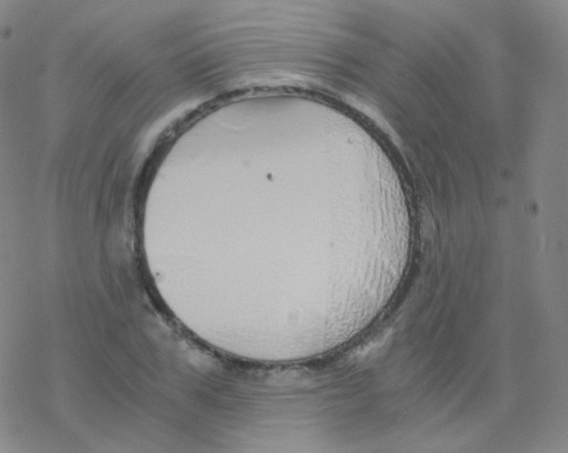 X0000076270979200610262026