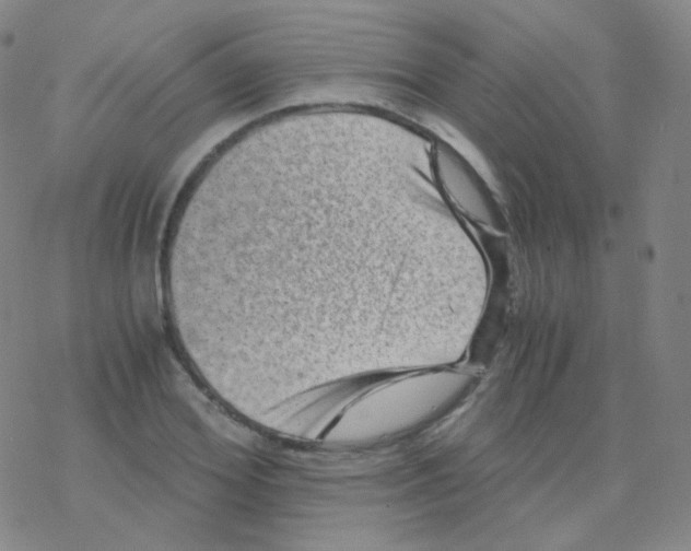 X0000076270980200610262026