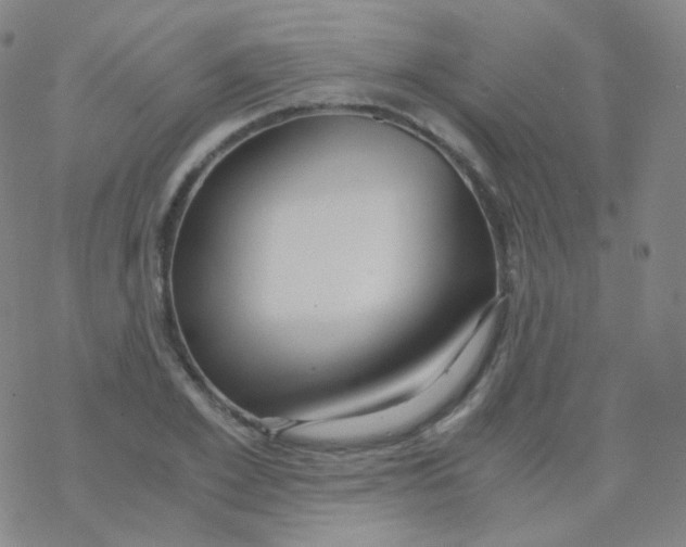 X0000076270981200610262026