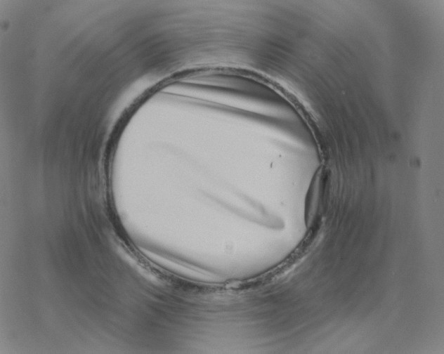 X0000076270982200610262026