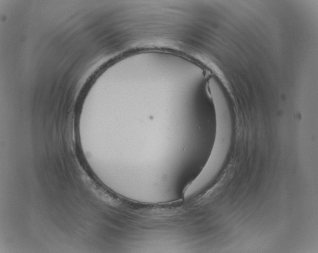 X0000076270984200610262026