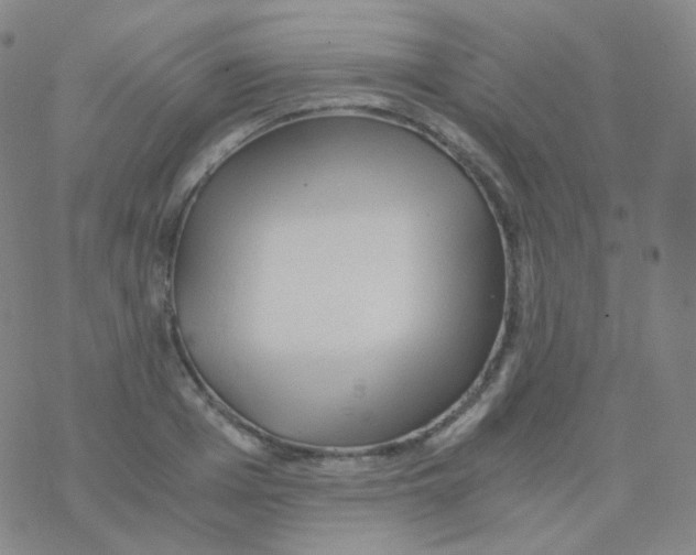 X0000076270985200610262026