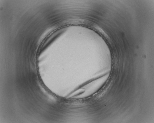 X0000076270986200610262026