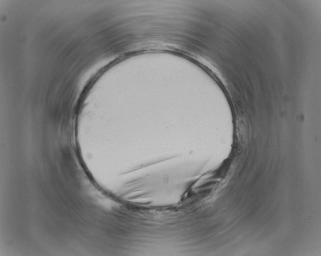 X0000076270987200610262026