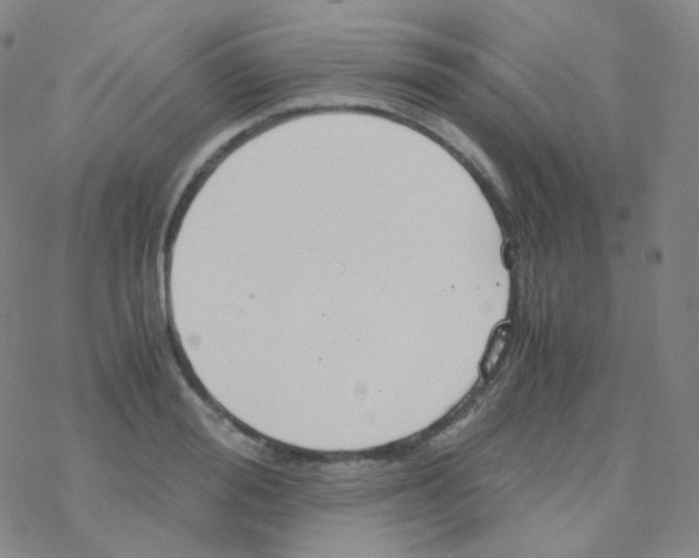 X0000076270988200610262026