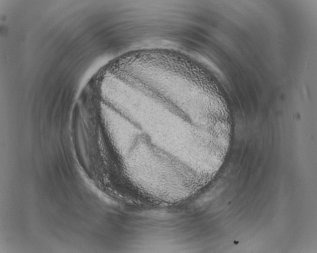 X0000076270990200610262026