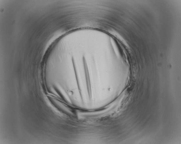 X0000076270991200610262026