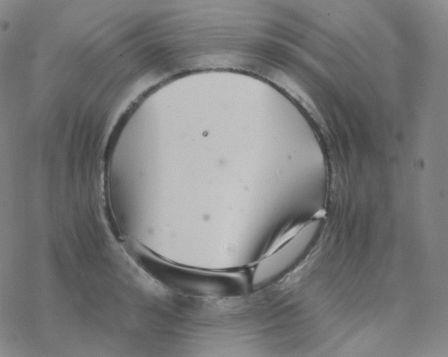 X0000076270992200610262026