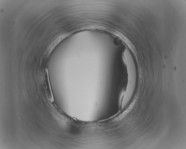 X0000076270993200610262026