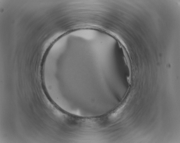 X0000076270995200610262026