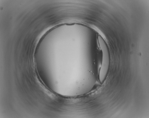 X0000076270996200610262026