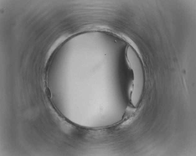 X0000076270997200610262026