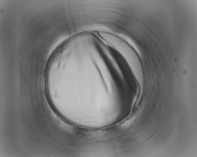 X0000076270999200610262026