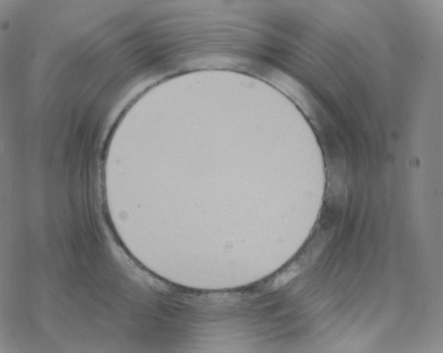 X0000076271000200610262026