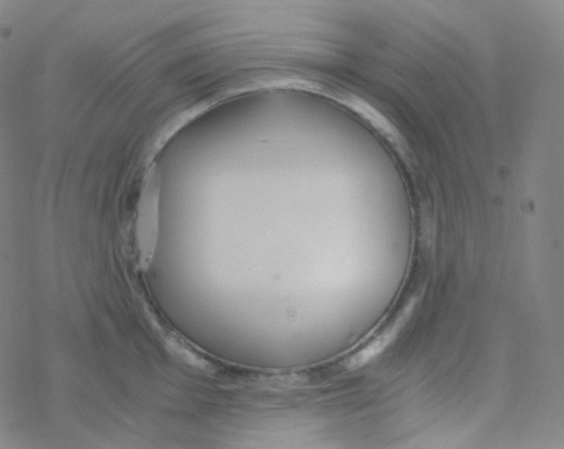 X0000076271001200610262026