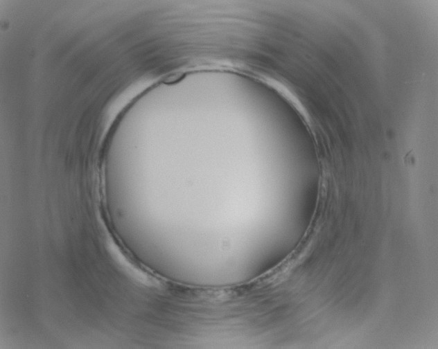 X0000076271003200610262026