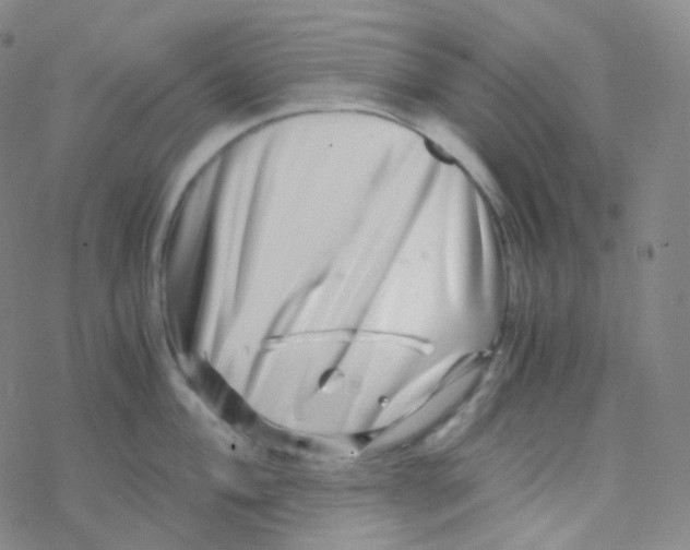 X0000076271004200610262026