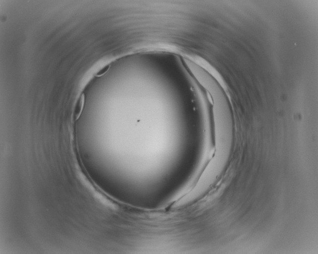 X0000076271005200610262026