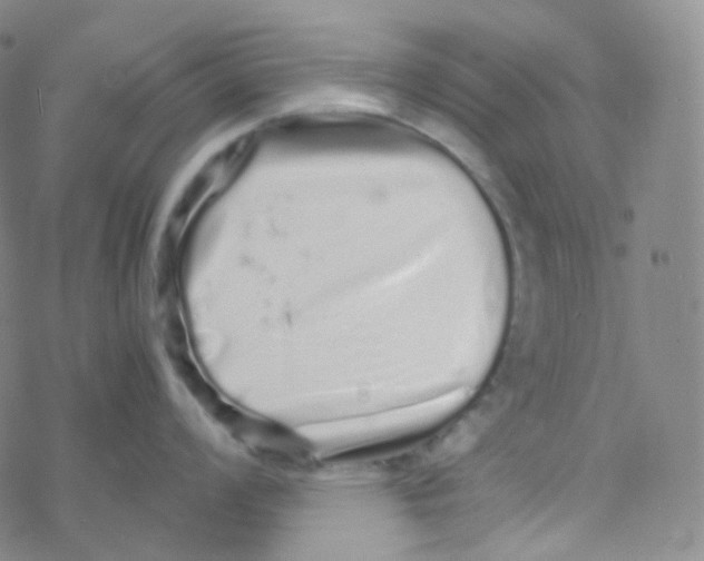 X0000076271008200610262025