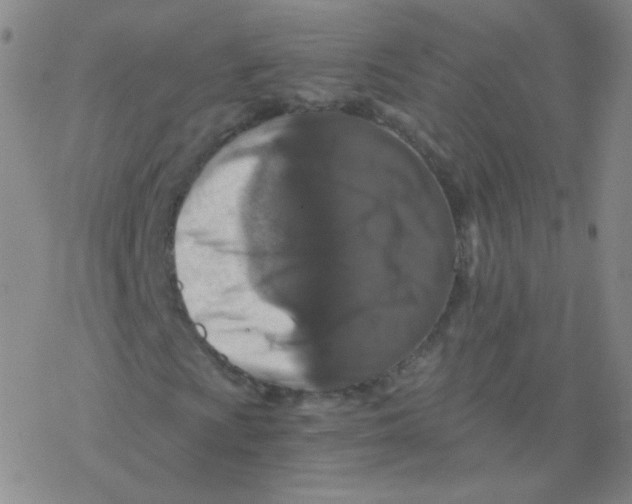 X0000076271009200610262025