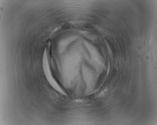 X0000076271010200610262025