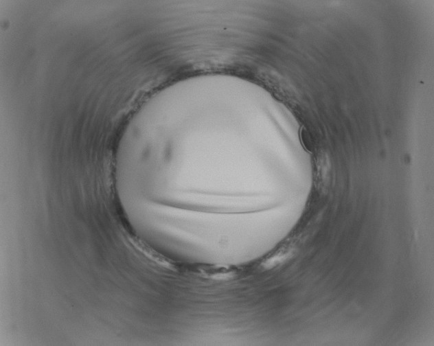 X0000076271012200610262025