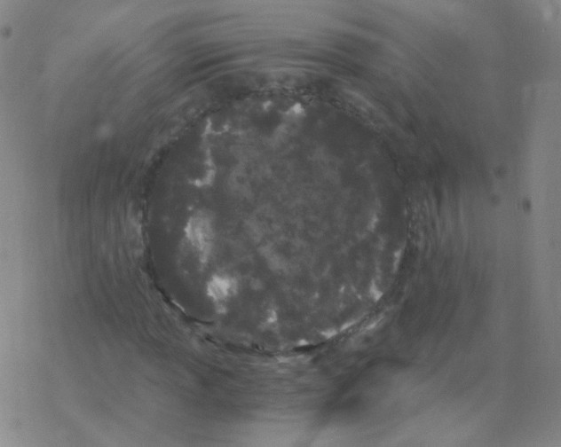 X0000076271013200610262025