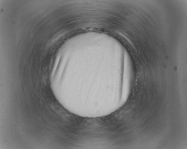 X0000076271015200610262025