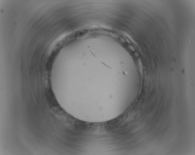 X0000076271016200610262025