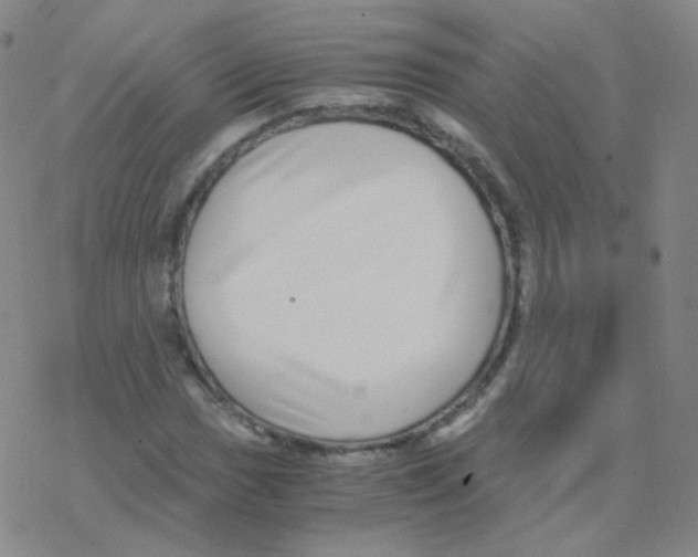 X0000076271017200610262025