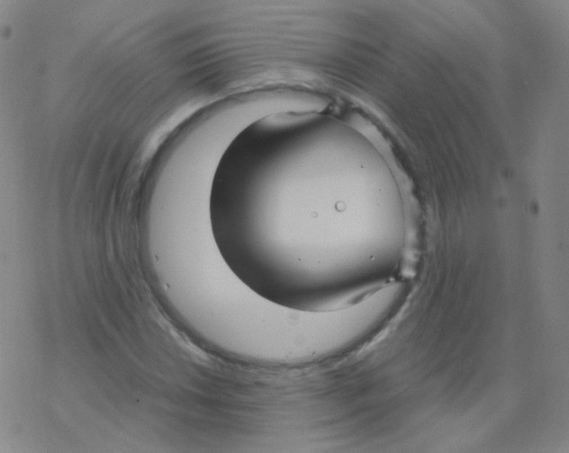 X0000076271018200610262025