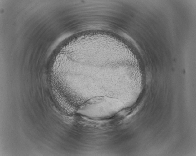 X0000076271019200610262025