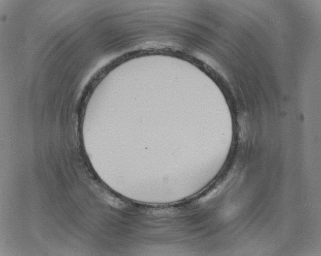 X0000076271021200610262025