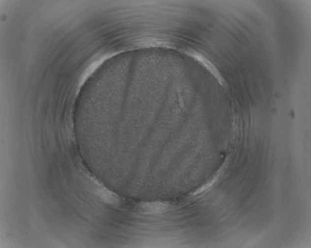 X0000076271023200610262025