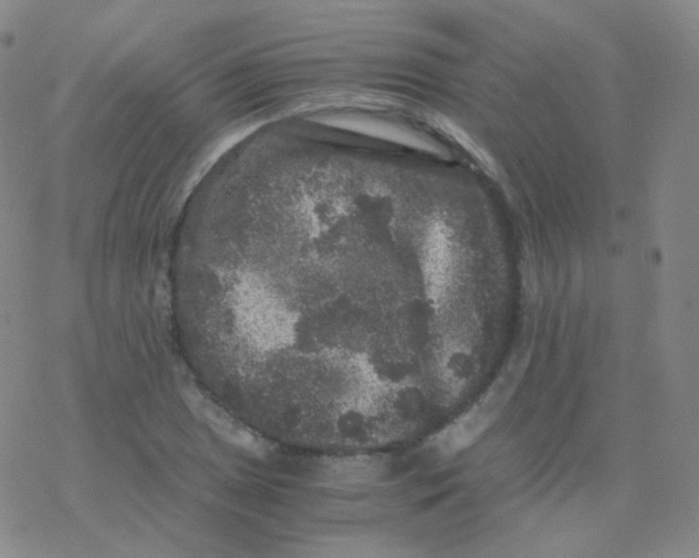 X0000076271025200610262025