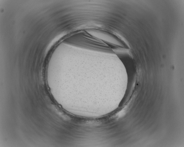 X0000076271026200610262025