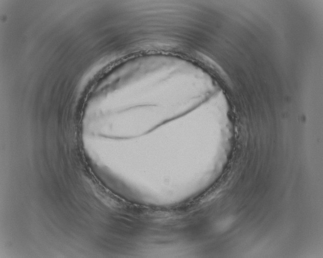 X0000076271027200610262025