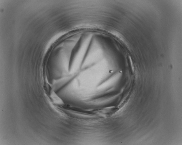 X0000076271030200610262025