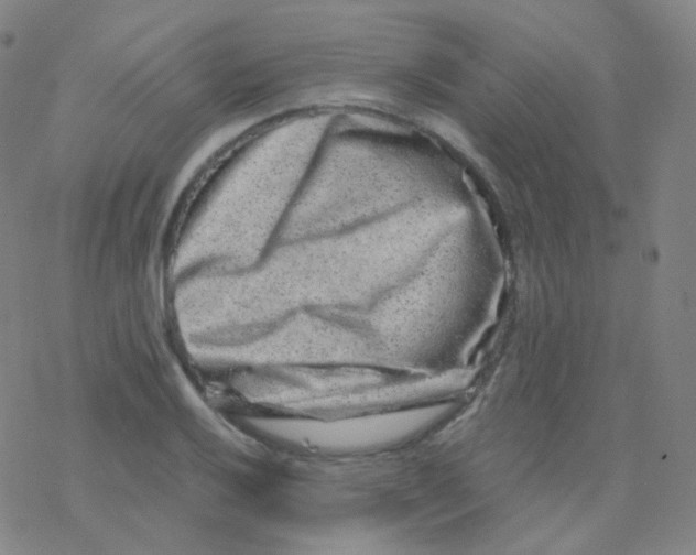 X0000076271032200610262025