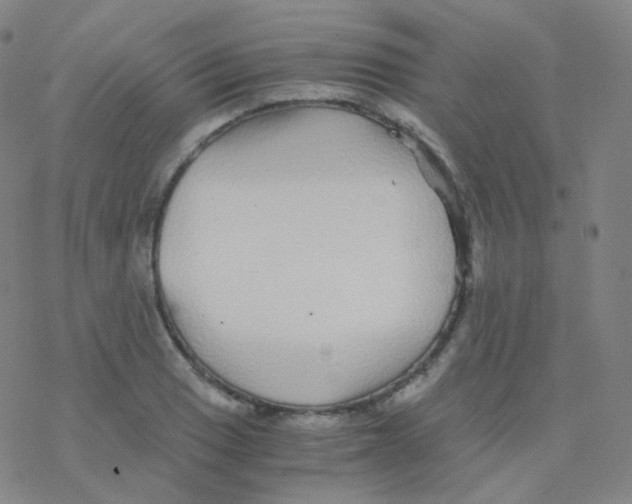 X0000076271033200610262025